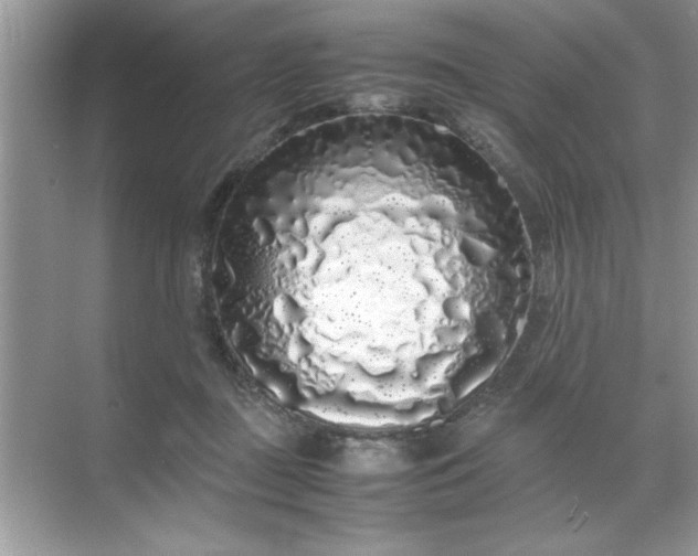 X0000071840363200607072241