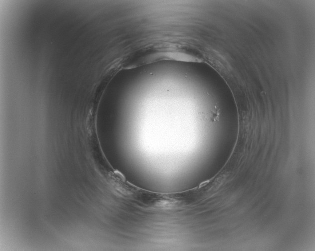 X0000071840364200607072241