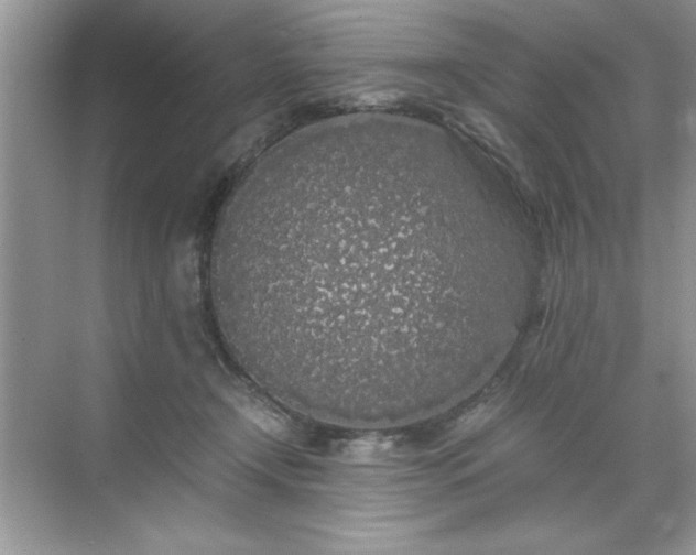 X0000071840366200607072242
