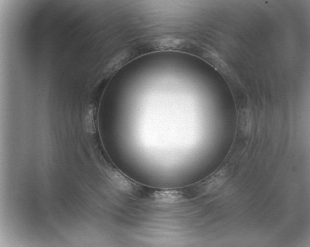 X0000071840378200607072242