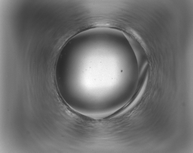 X0000071840385200607072241