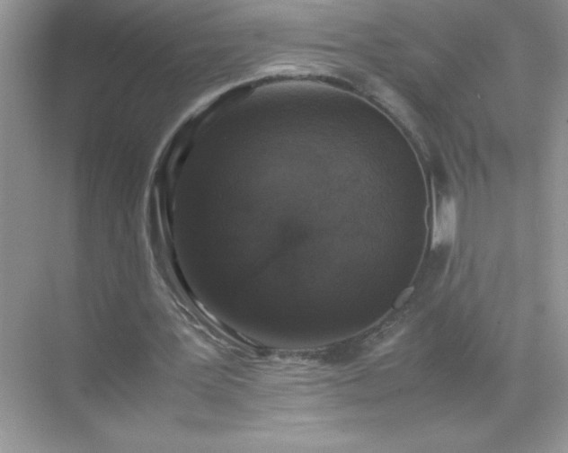 X0000071840387200607072241