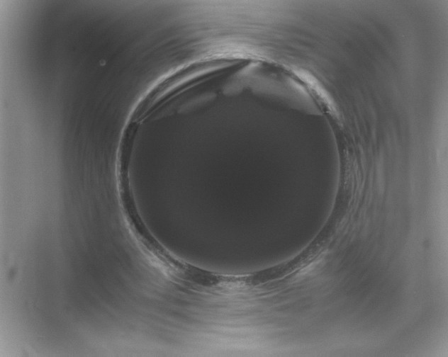 X0000071840391200607072241