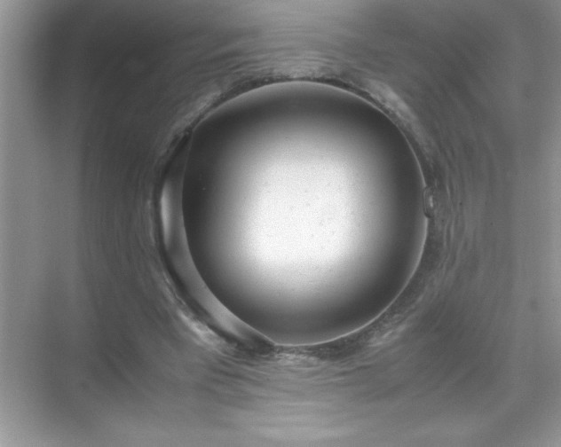X0000071840393200607072241