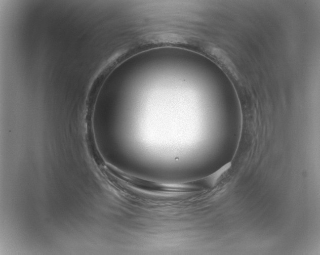X0000071840395200607072241