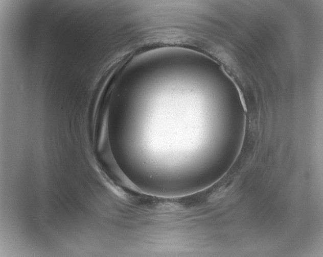 X0000071840397200607072241