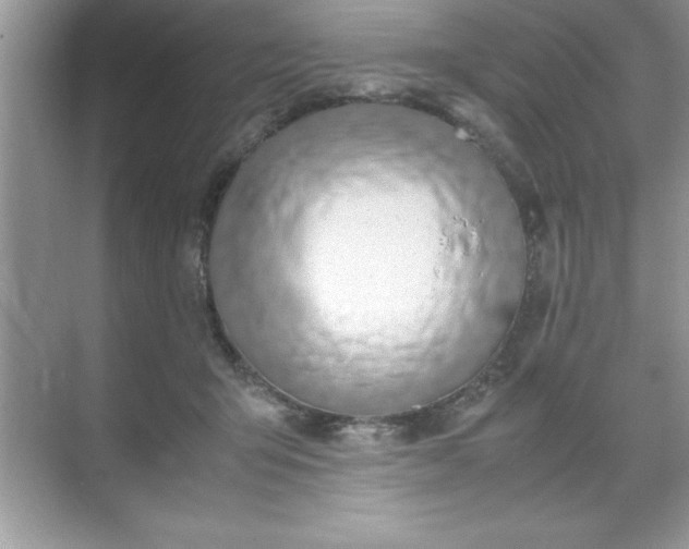 X0000071840415200607072241