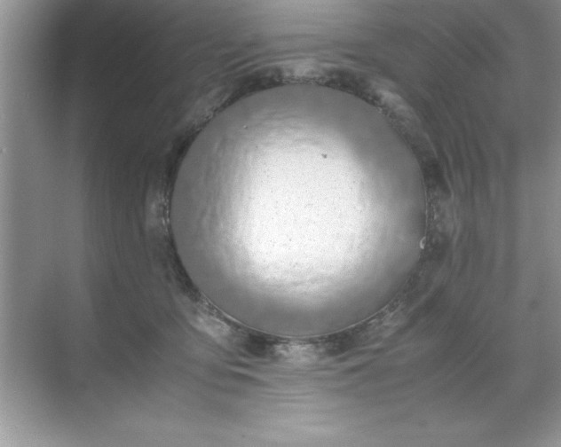 X0000071840419200607072240
