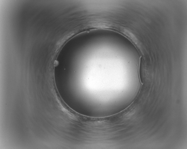 X0000071840433200607072239