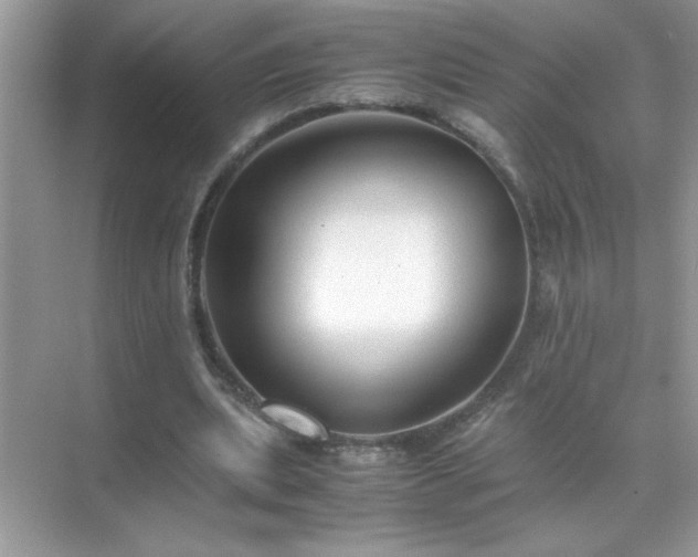 X0000071840439200607072240