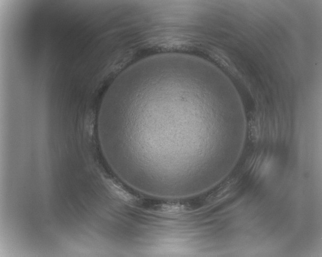 X0000071840458200607072240