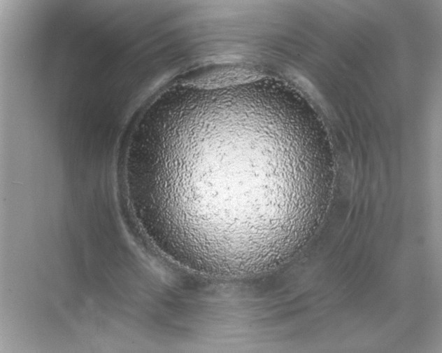 X0000071840482200607072239