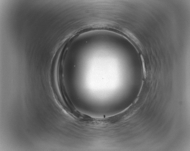X0000071840485200607072239