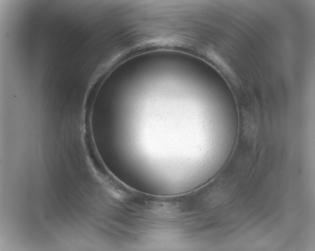 X0000071840486200607072239