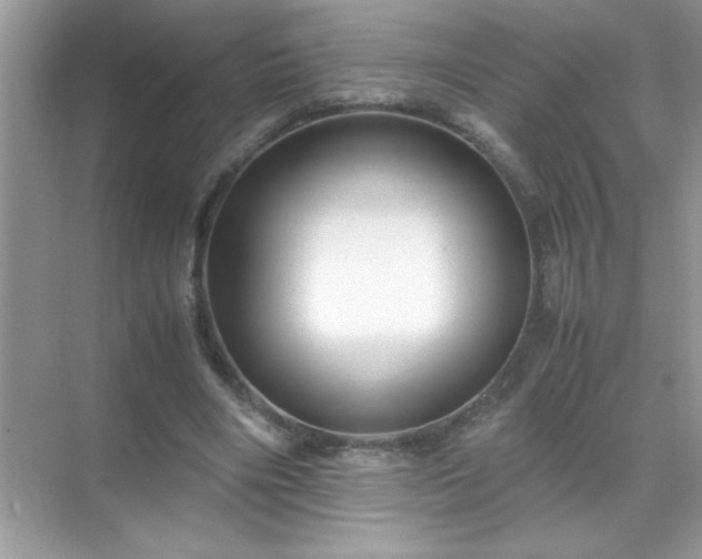 X0000071840490200607072239