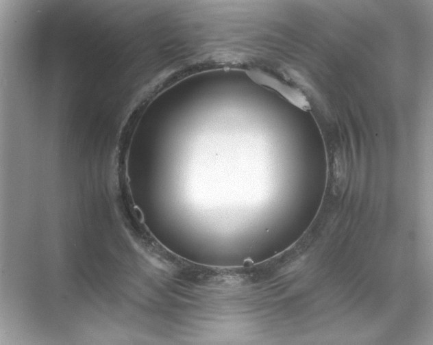 X0000071840492200607072239