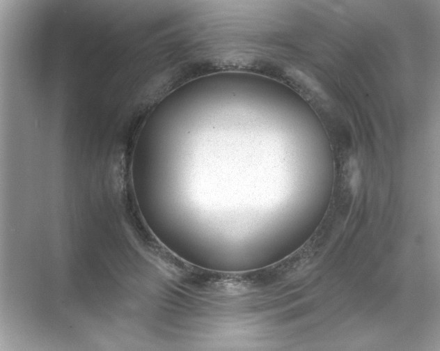 X0000071840498200607072239