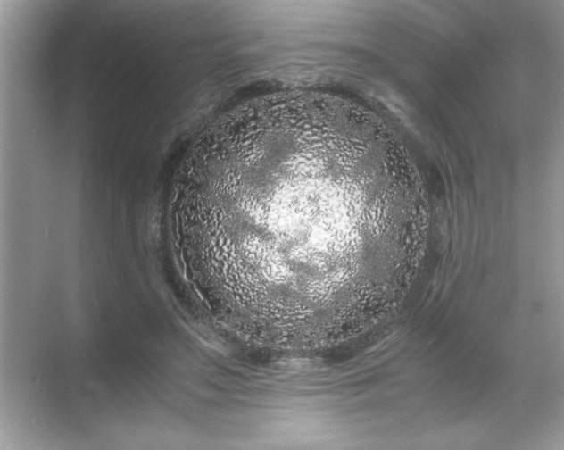 X0000071840499200607072239