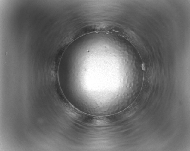 X0000071840510200607072239