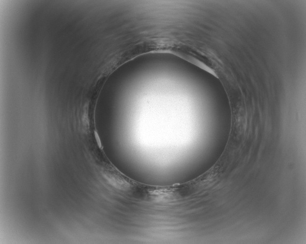 X0000071840516200607072239