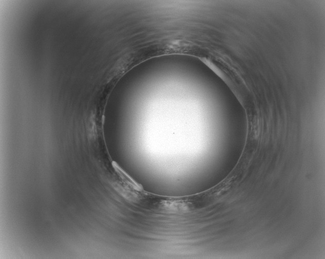 X0000071840520200607072239