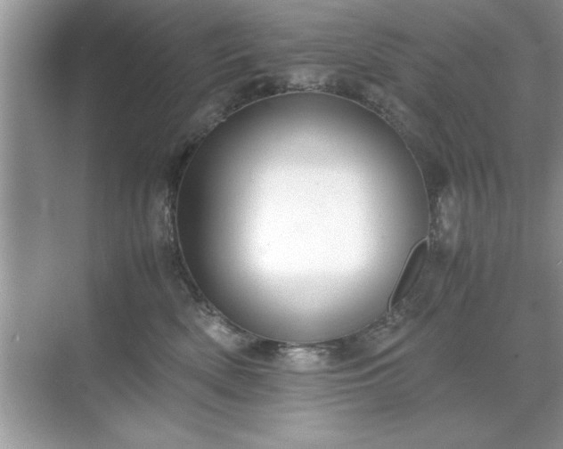 X0000071840522200607072239