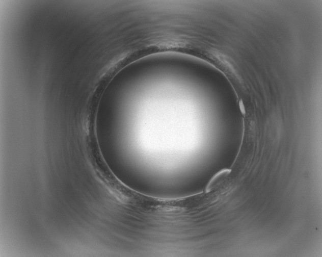 X0000071840539200607072238