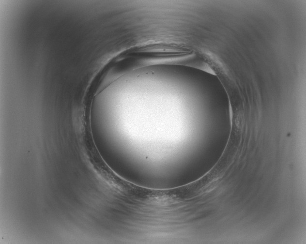 X0000071840540200607072238