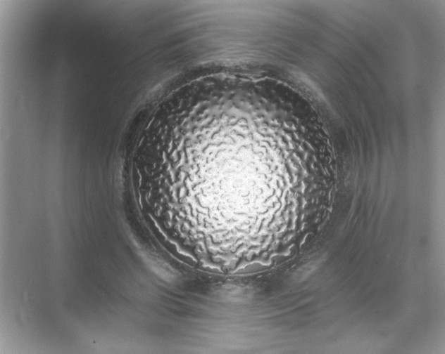 X0000071840542200607072238
