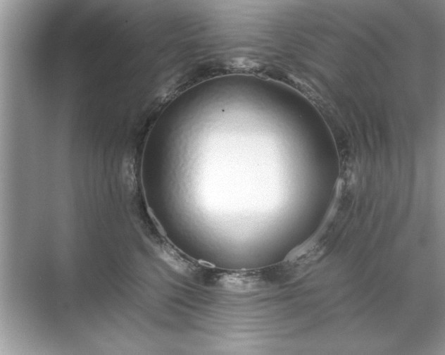 X0000071840568200607072238