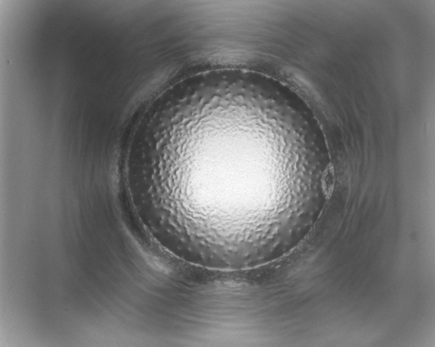 X0000071840586200607072238