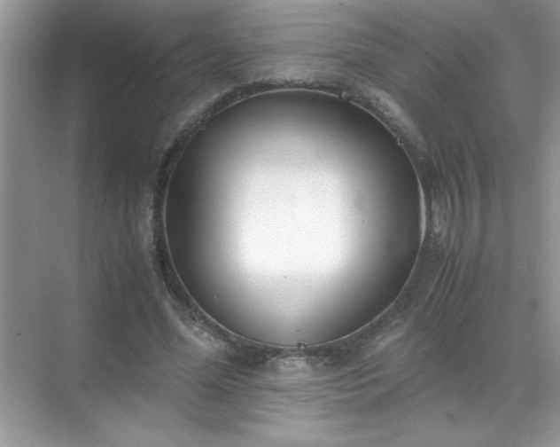 X0000071840588200607072238