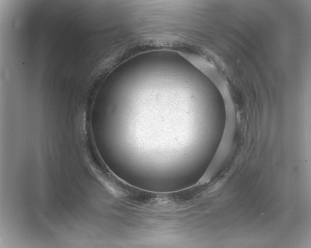 X0000071840589200607072238
