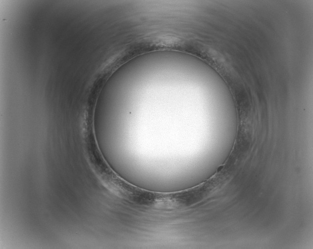 X0000071840591200607072238