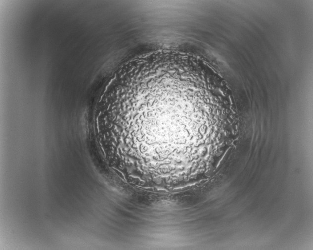 X0000071840594200607072238