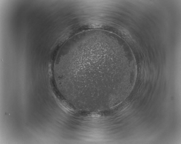 X0000071840598200607072237