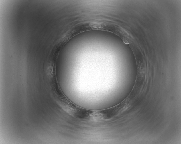 X0000071840603200607072237