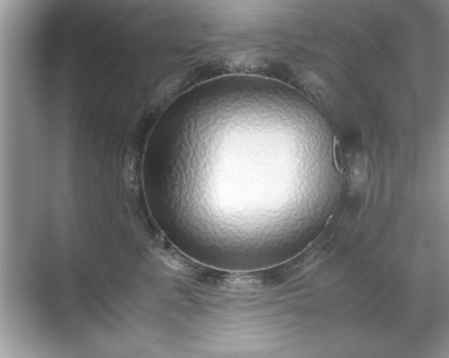 X0000071840619200607072237