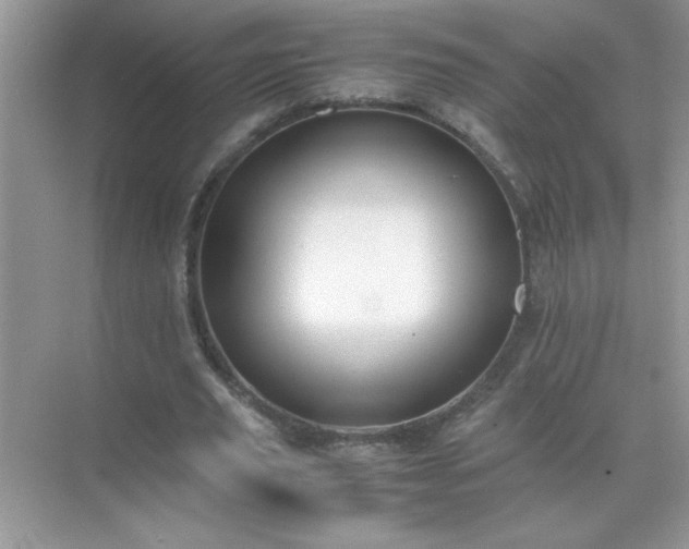 X0000071840629200607072236