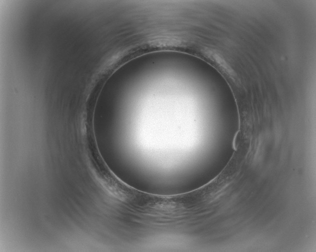 X0000071840631200607072236