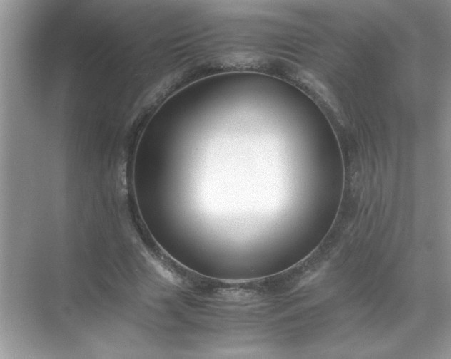 X0000071840633200607072236
