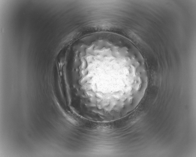 X0000071840638200607072236
