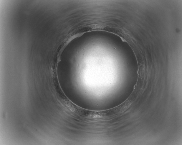X0000071840655200607072237