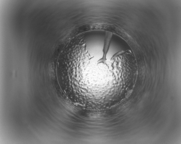 X0000071840661200607072237