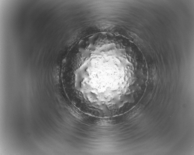 X0000071840664200607072237