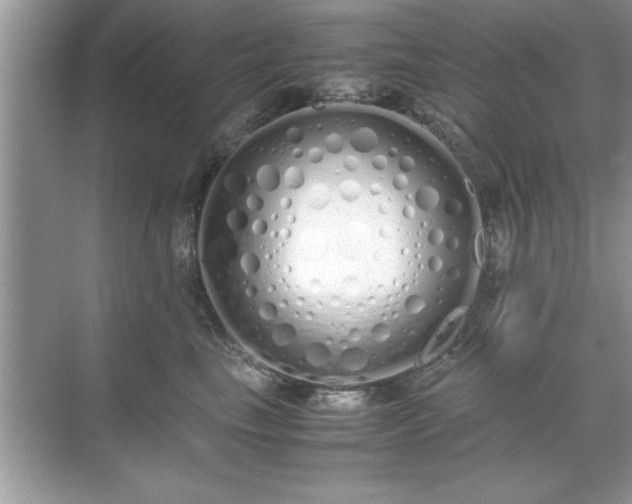 X0000071840665200607072237