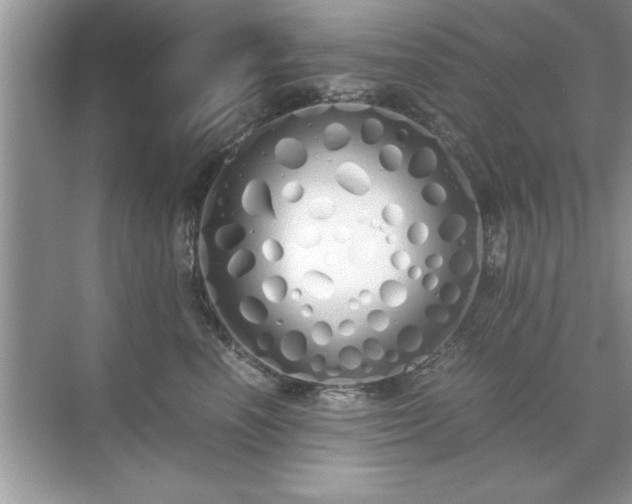 X0000071840666200607072237