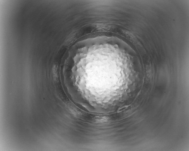 X0000071840667200607072237