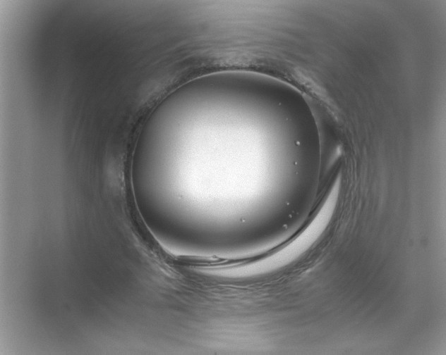 X0000071840681200607072236