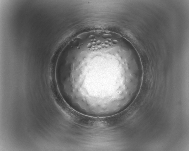 X0000071840683200607072236